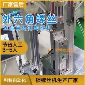 五金外六角螺絲自動(dòng)擰緊機(jī)視頻展示 雙頭自動(dòng)打螺絲機(jī)